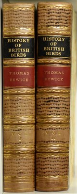 Lot 183 - Bewick (Thomas) History of British Birds, 1804, Newcastle, two volumes, half calf gilt