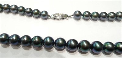 Lot 7 - A strand of dyed cultured pearls set with a diamond clasp