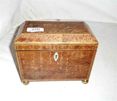 Lot 270 - 18th century burr yew tea caddy