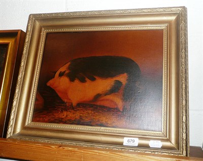 Lot 679 - Gilt-framed oil on canvas study of pig