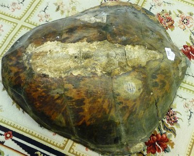 Lot 792 - Victorian turtle shell