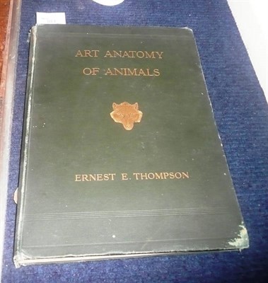 Lot 381 - Thompson (Ernest E.) Studies in the Art Anatomy of Animals, 1896, folio, plates, original cloth