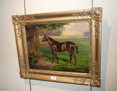 Lot 599 - Oil study of a horse signed W Ansell