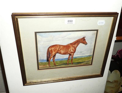 Lot 650 - Watercolour of a chestnut gelding by DM & EM Alderson, dated 1947