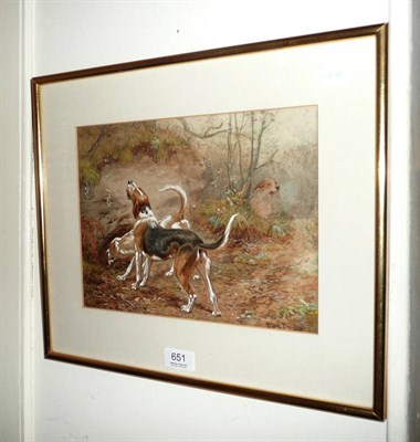 Lot 651 - Framed watercolour by Basil Bradley 'Gone to Ground', fox hounds in undergrowth