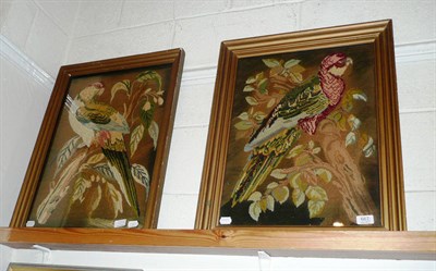 Lot 667 - A pair of Gros point woolwork pictures of parrots in gilt frames