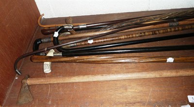 Lot 184 - Eleven assorted walking sticks and canes, some with silver mounts