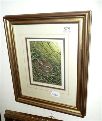 Lot 575 - Framed watercolour of a rabbit by Ralph Waterhouse