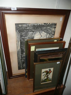 Lot 602 - Reverse print on glass Han Ed Vernan (a.f.), four framed prints of exotic birds, framed watercolour