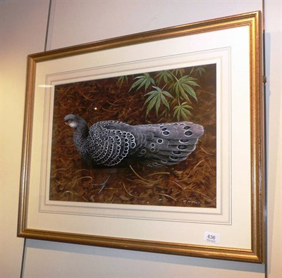 Lot 636 - Rodger McPhail (b.1953), peacock pheasant walking amongst vegetation. Signed, watercolour and...