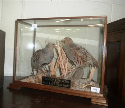 Lot 645 - Two partridges in glazed case titled 'Fleensop Coverdale, 4.10.1989, right and left Perdix Perdix'