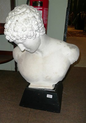 Lot 820 - A plaster bust of a classical figure on a black painted wooden base