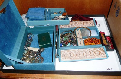 Lot 224 - Quantity of assorted costume jewellery, Scottish brooches, etc