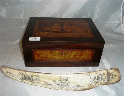 Lot 197 - Inlaid rosewood hinged box decorated with a ship and whale bone decorated and dated 1859