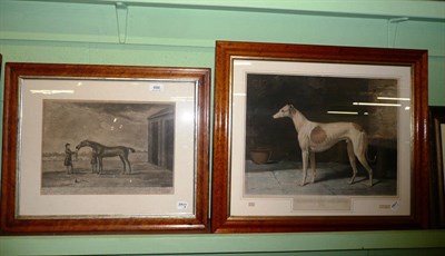 Lot 498 - Engraving of 'King Cob' and another