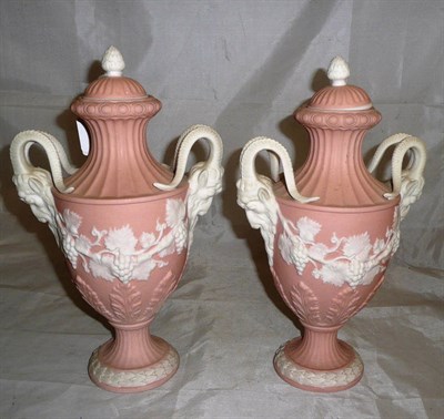 Lot 74 - A pair of 19th century pink and vine decorated vases with ram's head handles