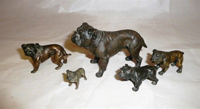 Lot 242 - Five assorted bronze figures of Bulldogs of assorted sizes (one previously mounted), largest...