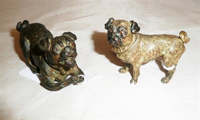 Lot 255 - A bronze figure of a Pug dog, 5cm high and a painted bronze figure of a Pug dog, 4cm high