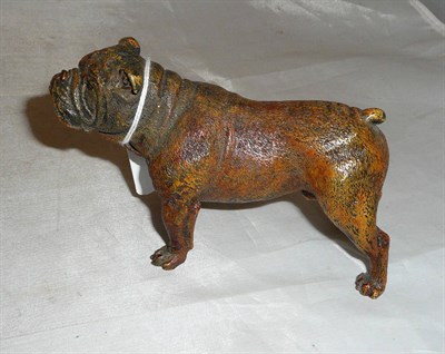 Lot 388 - A Franz Bergmann model of a bulldog, Geschützt plaque to underside