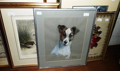 Lot 971 - Watercolour and pastel portrait head of a Jack Russell terrier initialled 'DW', after Archibald...