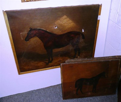 Lot 991 - Study of a horse, four oils on canvas (a.f.)