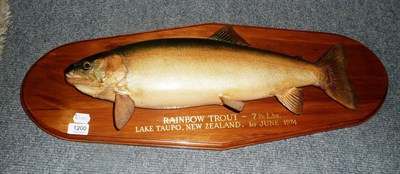 Lot 1200 - Mounted New Zealand trout, 1974