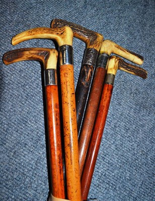 Lot 269 - Five assorted walking sticks with horn handles and silver/plated collars