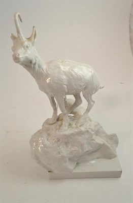 Lot 569 - A Volkstedt porcelain figure of a goat, probably 19th century, standing on a rocky outcrop, on...