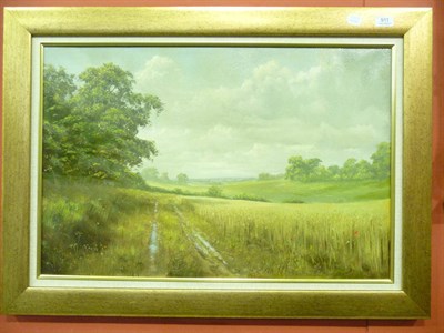 Lot 911 - David Dipnall framed oil landscape