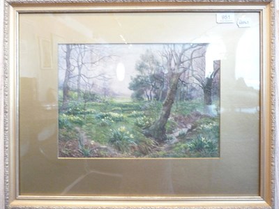 Lot 951 - A watercolour of 'Daffodils near Canal Gardens, Roundhay' signed Arthur Blackburn