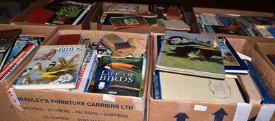 Lot 1235 - Eleven boxes of assorted books