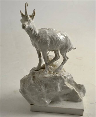 Lot 153 - A Volkstedt porcelain figure of a goat, probably 19th century, standing on a rocky outcrop, on...