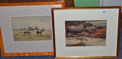 Lot 622 - Richard Barrett Talbot, Heron and Herring Gull, and Topi, watercolours (2)