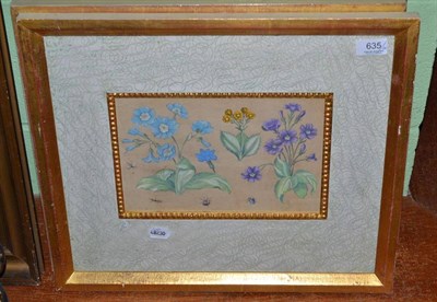 Lot 635 - Four botanical prints in gilt frames