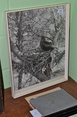 Lot 692 - Eric Hosking photographs, together with one volume 'Portrait of Wilderness', the story of the...