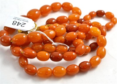 Lot 248 - An Amber Necklace, seventy-four graduated oval shaped orangey-brown beads, length 126cm