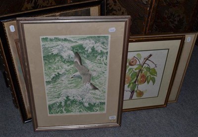 Lot 1093 - John Tennent (b.1926) ";Fulmar at Sea"; Signed artist proof, 36/95, dated 1983, colour...