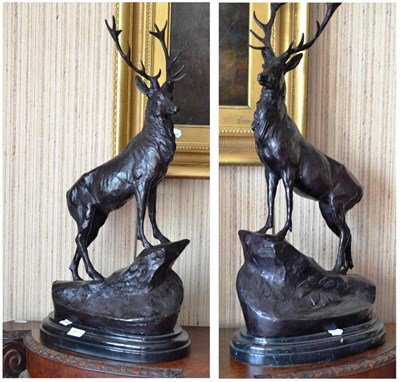 Lot 465 - Pair of bronze stags of recent date, 73cm