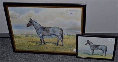 Lot 1145 - Dorothy Margaret and Elizabeth Mary Alderson (20th century) ";Tony"; portrait of a horse...