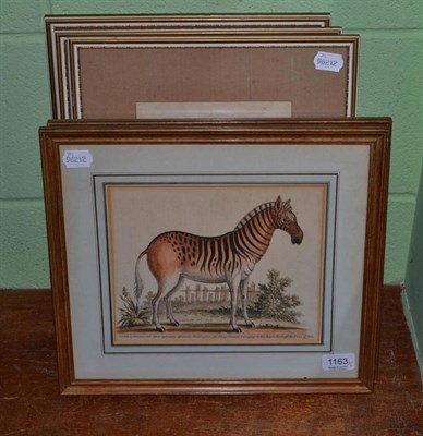 Lot 1163 - A pair of book plates of Zebras and three watercolours of Indian people ";A Blind Man Going a...