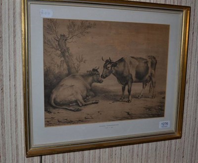 Lot 1276 - Eugene Verboeckhoven (1798-1881) A study of Cattle, signed, and dated 1844, pencil, 27.5cm by...