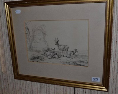 Lot 1277 - Eugene Verboeckhoven (1798-1881) A study of Deer, signed and date 1844, pencil, 21cm by 32cm...