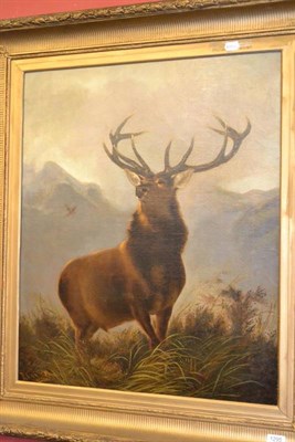 Lot 1295 - Robert Clemenson after Landseer (19th century) Stag, oil on canvas, 75cm by 62cm