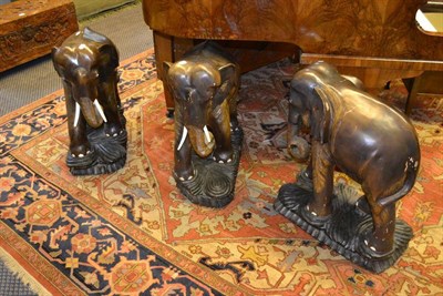 Lot 1665 - Three 1920's large carved elephants 62cm high