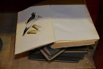 Lot 1684 - Morris (F.D) A History of British birds, 1870, 6 vols. hand coloured plates throughout,...