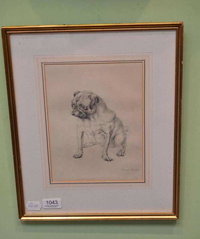 Lot 1043 - Edward Hurst, (20th Century) British School Pug, signed, The Tryon Gallery Ltd label verso,...