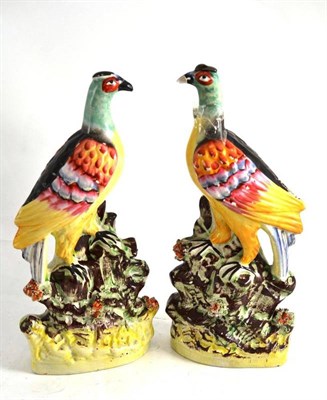 Lot 57 - A pair of 19th century Staffordshire figures of exotic birds