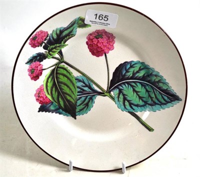 Lot 165 - Botanical creamware plate, 21cm diameter