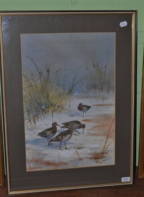 Lot 1023 - John Cyril Harrison (1898-1985) ";Snipe on a Riverbank";, signed, watercolour, 56.5cm by 38cm