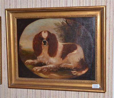 Lot 1036 - British Provincial School follower of Landseer, study of a spaniel, oil on canvas, 34cm by 44cm